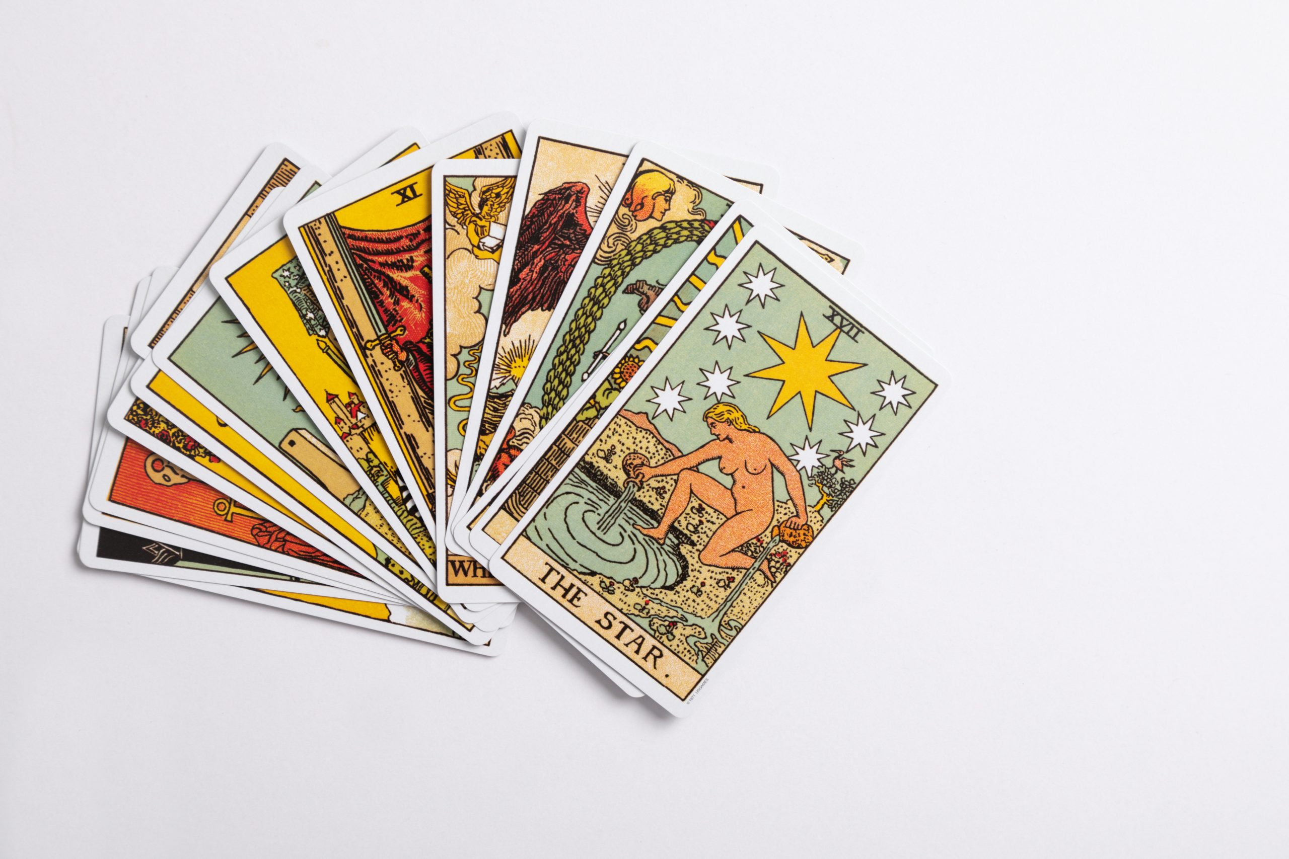 The SEO, Content Writing, Tarot Reading Witch!
